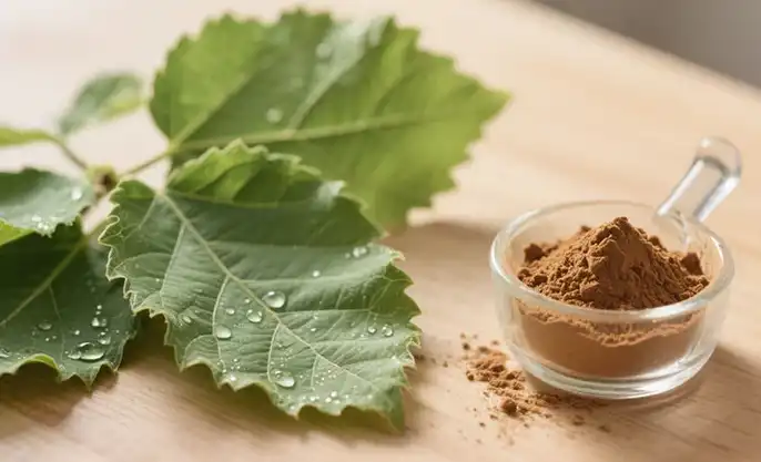 What Are the Active Compounds in Mulberry Leaf Extract Powder?